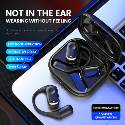 OWS Earphone